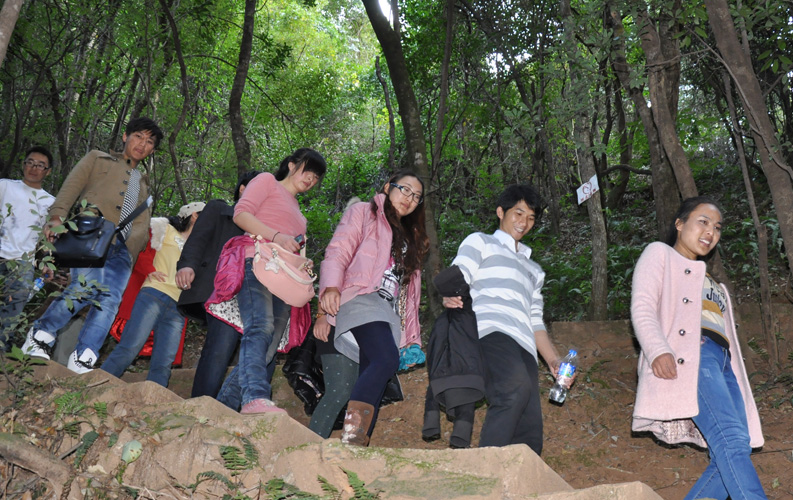 青龙峡位于昆明西郊安宁市青龙镇滇中生态大峡谷中，景区有保存较为完好的植物群落，遮天蔽日的参天古木；有浪漫山花，野果飘香，还有清秀宁静的田园风光。河谷沿岸古柳成荫，几十里的云南樱花大道成为昆明郊游靓丽的风景线。景区中溪水潺潺，千姿百态、千奇百怪的蔓藤风光随处可见，号称“都市身旁的小九寨。